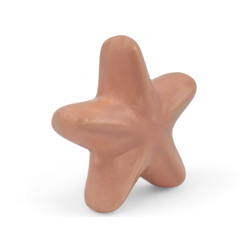 Ceramic Peachy Pink Starfish with Magnet (5.5cm) Ceramic Peachy Pink Starfish with Magnet (5.5cm)