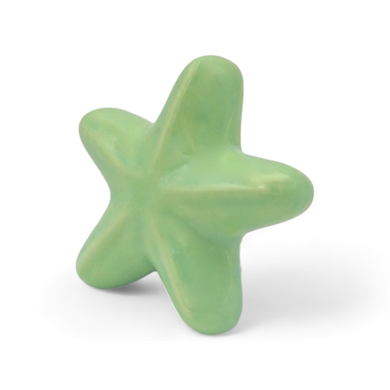 Ceramic verde light Starfish with Magnet (5.5cm) Ceramic verde light Starfish with Magnet (5.5cm)