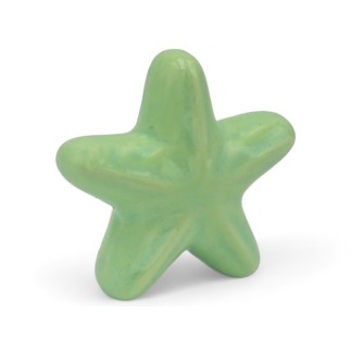 Ceramic verde light Starfish with Magnet (5.5cm) Ceramic verde light Starfish with Magnet (5.5cm)