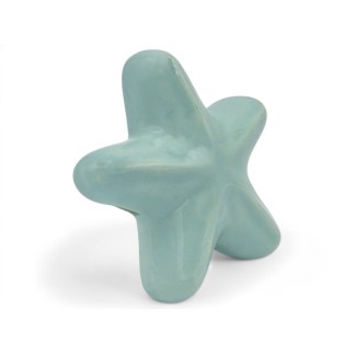 Ceramic Aquamarine Starfish with Magnet (5.5cm) Ceramic Aquamarine Starfish with Magnet (5.5cm)