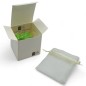 Trenino Verde Mela in Ceramica con Calamita (4,5cm)