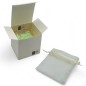 Trenino Verde Chiaro in Ceramica con Calamita (4,5cm) Trenino Verde Chiaro in Ceramica con Calamita (4,5cm)