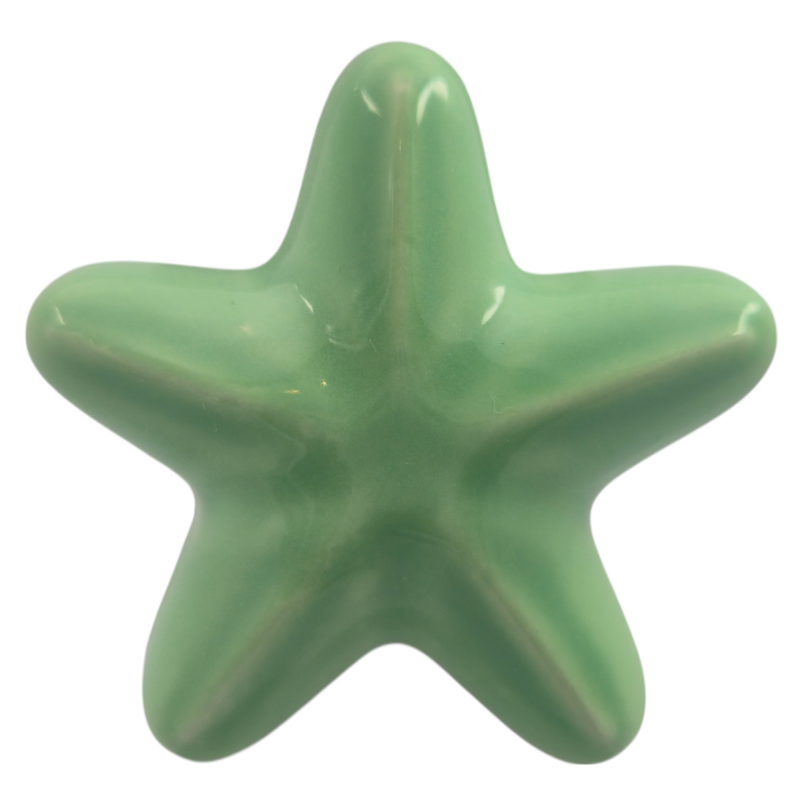 Ceramic Sage Green Starfish with Magnet (5.5cm) Ceramic Sage Green Starfish with Magnet (5.5cm)