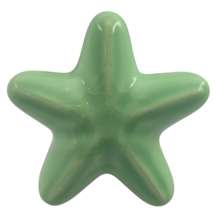 Ceramic Sage Green Starfish with Magnet (5.5cm)