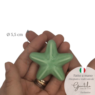 Ceramic Sage Green Starfish with Magnet (5.5cm)