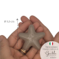 Ceramic Taupe Starfish with Magnet (5.5cm) Ceramic Taupe Starfish with Magnet (5.5cm)
