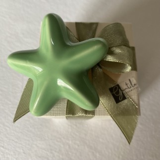 Ceramic Sage Green Starfish with Magnet (5.5cm)