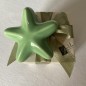 Ceramic Sage Green Starfish with Magnet (5.5cm) Ceramic Sage Green Starfish with Magnet (5.5cm)