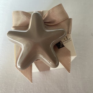 Stella Marina Tortora in Ceramica con Calamita (5,5cm)
