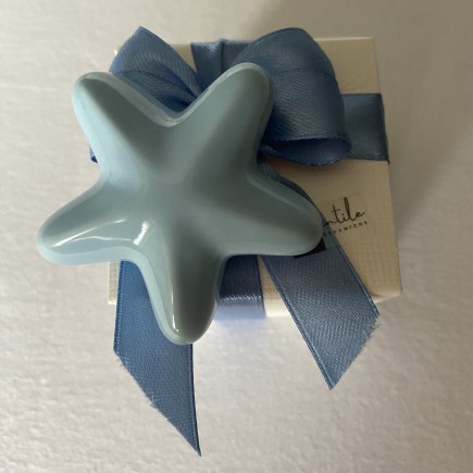 Ceramic Sky Blue Starfish with Magnet (5.5cm)