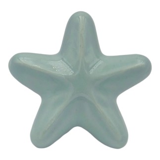 Ceramic Aquamarine Starfish with Magnet (5.5cm)