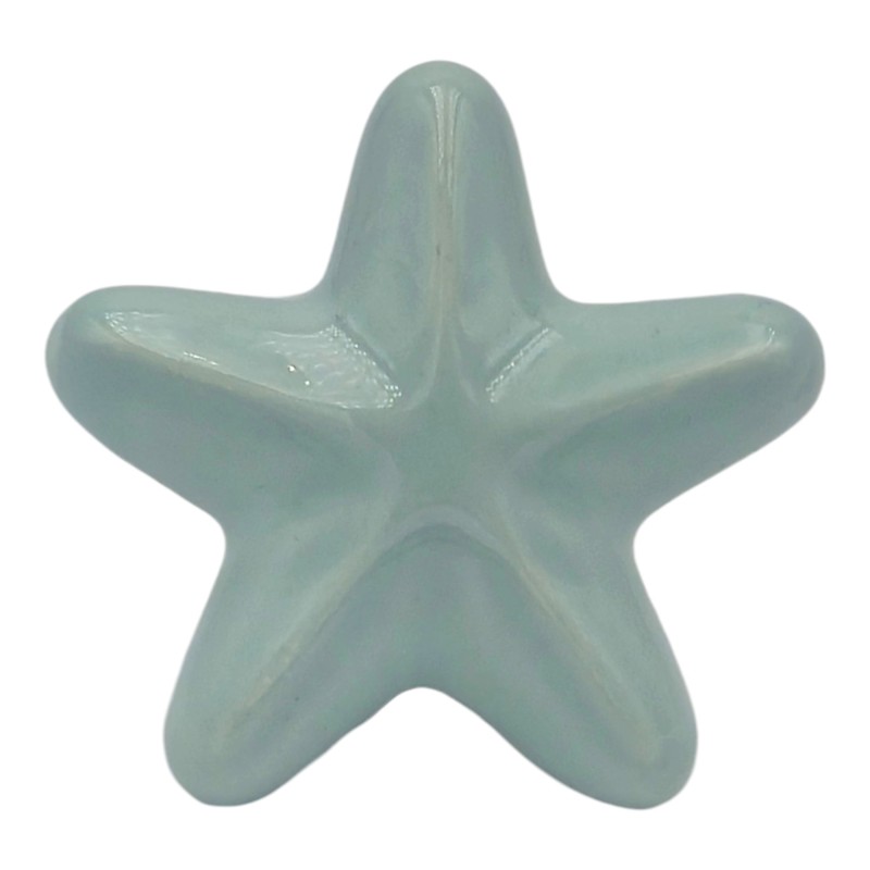 Ceramic Aquamarine Starfish with Magnet (5.5cm)