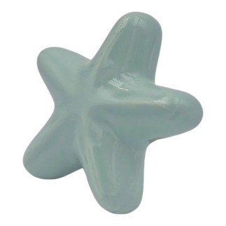 Ceramic Aquamarine Starfish with Magnet (5.5cm)