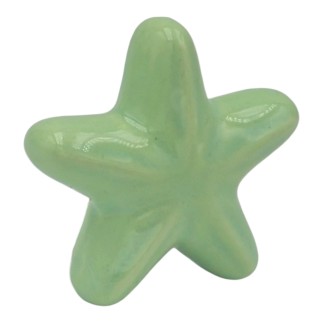 Stella Marina Verde Chiaro in Ceramica con Calamita (5,5cm)
