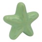 Stella Marina Verde Chiaro in Ceramica con Calamita (5,5cm)