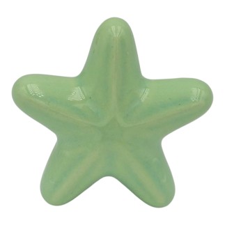 Stella Marina Verde Chiaro in Ceramica con Calamita (5,5cm)