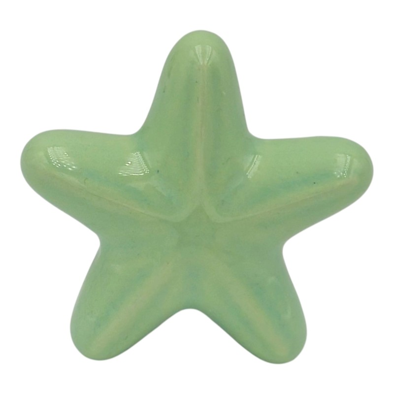 Stella Marina Verde Chiaro in Ceramica con Calamita (5,5cm)