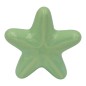 Stella Marina Verde Chiaro in Ceramica con Calamita (5,5cm)