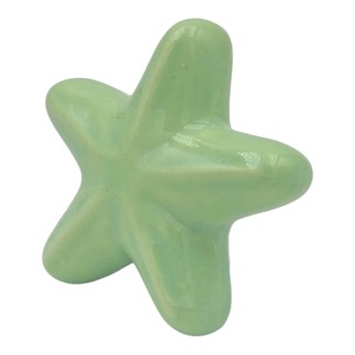 Stella Marina Verde Chiaro in Ceramica con Calamita (5,5cm)