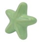 Stella Marina Verde Chiaro in Ceramica con Calamita (5,5cm)