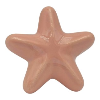 Set 16 Stella Marina Rosa Pesca in Ceramica con Calamita (5,5cm)