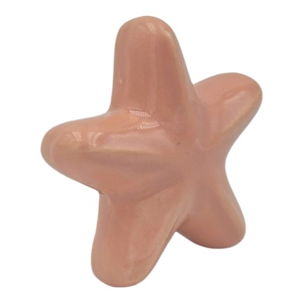 Set 16 Stella Marina Rosa Pesca in Ceramica con Calamita (5,5cm) – Disponibili in Quantità Limitata