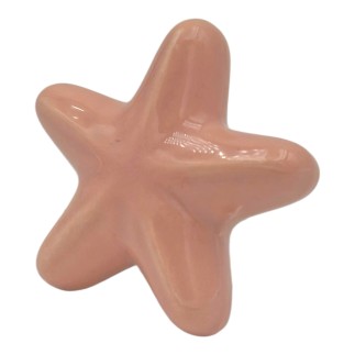 Set 16 Stella Marina Rosa Pesca in Ceramica con Calamita (5,5cm)