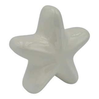 Set 16 Stella Marina Bianca in Ceramica con Calamita (5,5cm) – Disponibili in Quantità Limitata