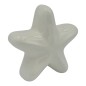 Set 16 Stella Marina Bianca in Ceramica con Calamita (5,5cm) – Disponibili in Quantità Limitata