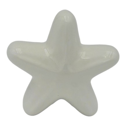 Set 16 Ceramic White Starfish with Magnet (5.5cm)