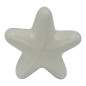 Set 16 Stella Marina Bianca in Ceramica con Calamita (5,5cm) – Disponibili in Quantità Limitata