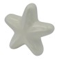 Set 16 Stella Marina Bianca in Ceramica con Calamita (5,5cm) – Disponibili in Quantità Limitata